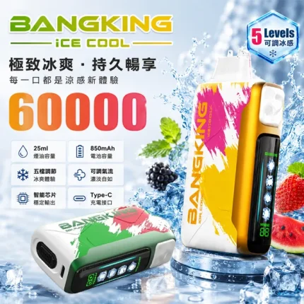 BANG KING 60000口一次性 5檔冰感調節 12種口味
