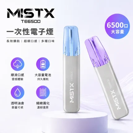 米斯特/MISTX TE 6500口拋棄式 鴨嘴獸型煙嘴 10種口味