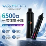 哇酷/WAGOO & KIS5 聯名款 6500口一次性 12種口味