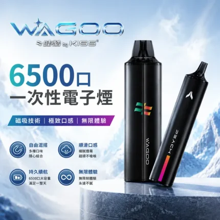 哇酷/WAGOO & KIS5 聯名款 6500口一次性 12種口味