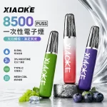 梟客/XIAOKE 8500口拋棄式 20種口味